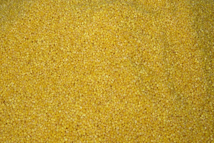 野钓鲫鱼酒米配方大全,目前最好的钓鱼酒米配方