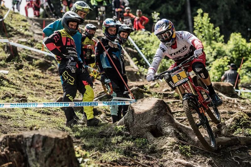 老鸟入门教程视频,分享新手选车攻略