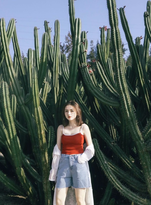 高品质淘宝店铺,高质量店铺淘宝篇