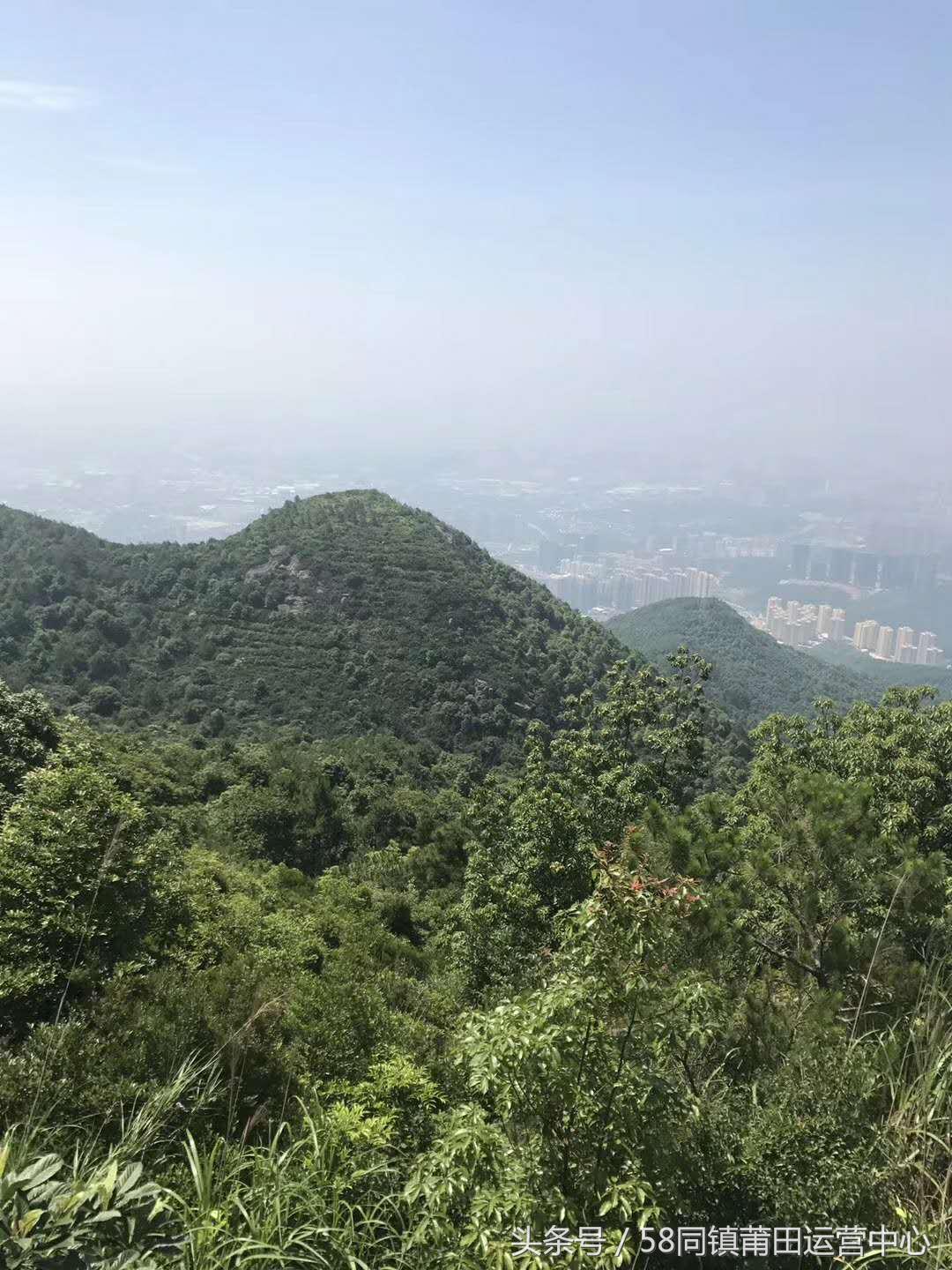 莆田西天尾镇地图,莆田市荔城区西天尾镇