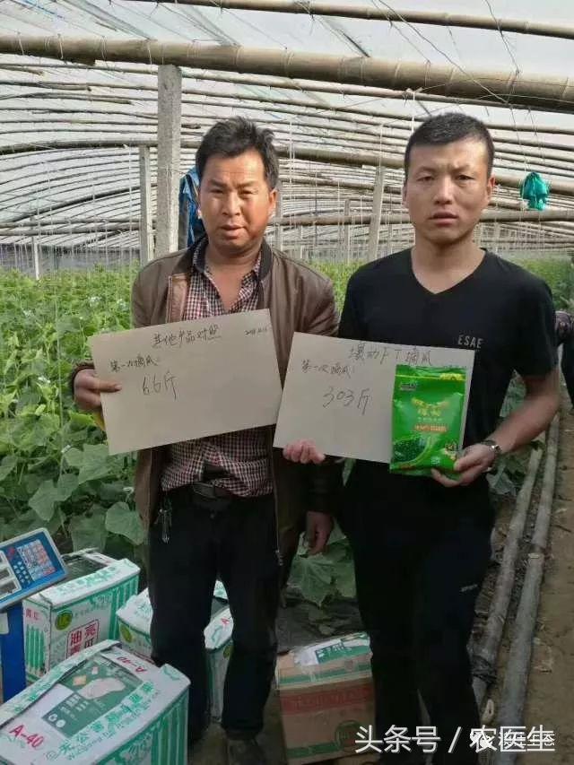 改善土壤板结专用药,专治土壤板结硬化酸化重茬