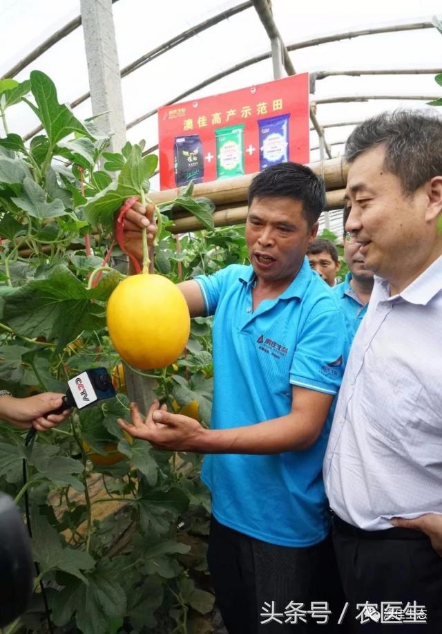 改善土壤板结专用药,专治土壤板结硬化酸化重茬