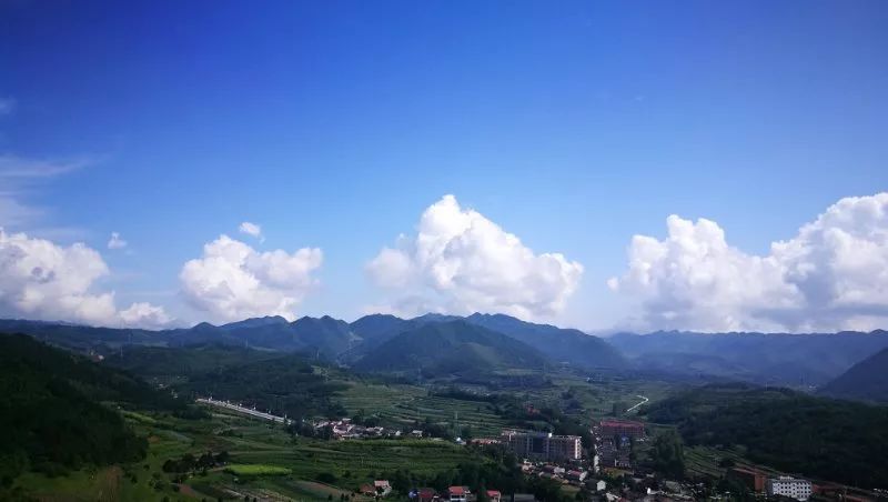 柚子说：松鼠我都没看见，熊猫也没有看见