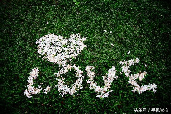 七夕节适合表白的数字浪漫,七夕送玫瑰花卡片写什么情话