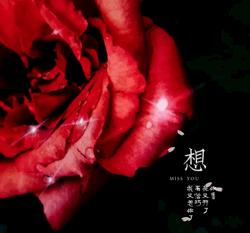 能表达爱情的有哪几种花,最适合表白的花