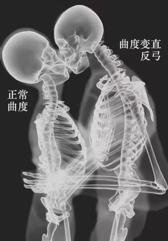 今天不许撒狗粮！都来陪这20位深圳好医生过节！