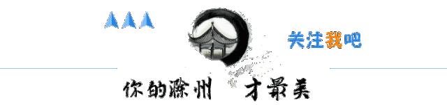 长途汽车站搬迁与便捷交通服务,客运中心班线最新运行情况