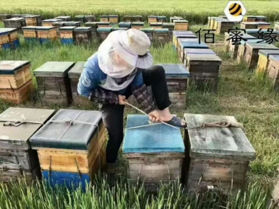 蜂蜜对孩子早熟有影响吗,蜂蜜会导致孩子早熟吗