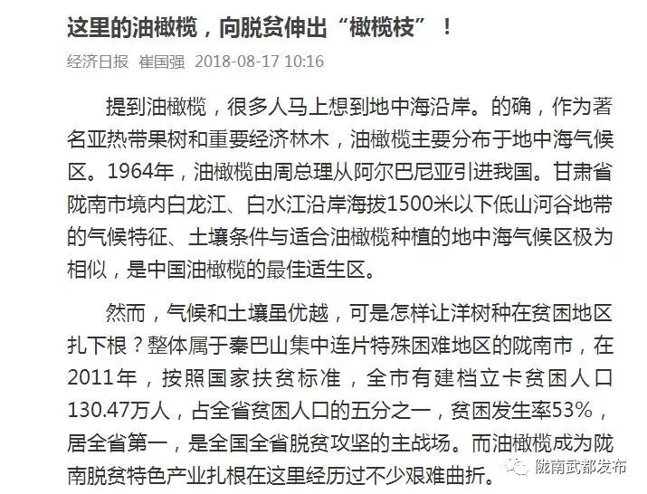 今生广种橄榄树，来世还做陇南人！