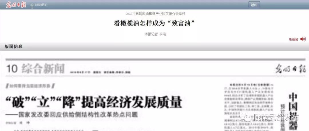 今生广种橄榄树，来世还做陇南人！