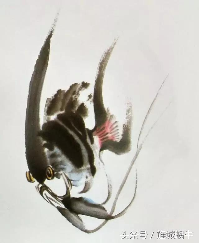 国画锦鲤鱼的画法与调色,国画写意神仙鱼100图欣赏