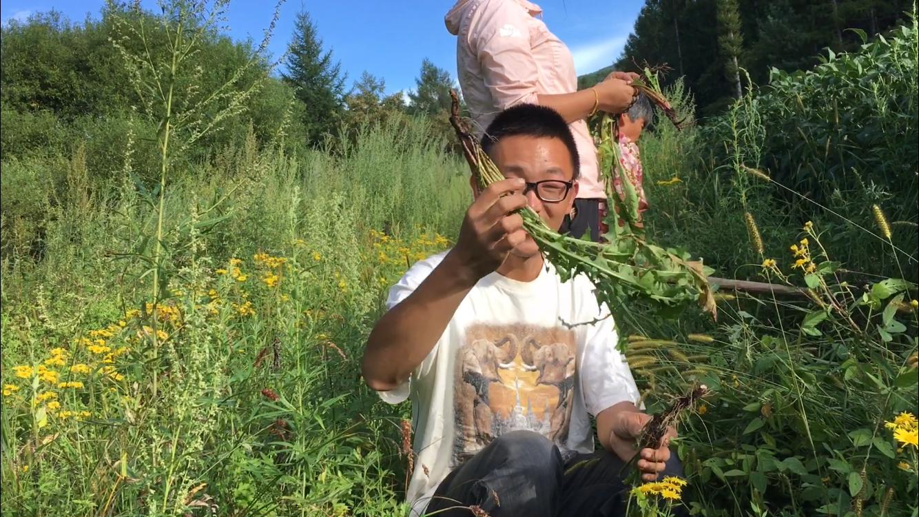 婆婆丁蘸酱菜顺丰包邮,东北婆婆丁蘸酱菜销量第一