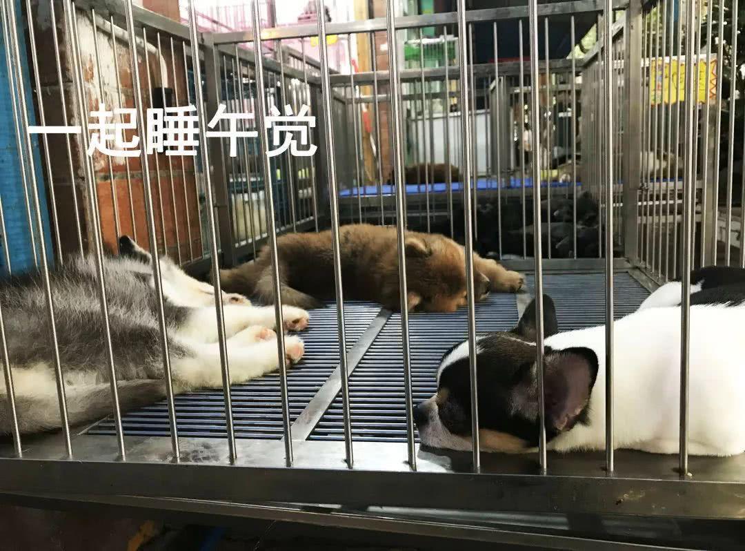 广州便宜又好看的批发市场,广州年前批发市场买衣服地方推荐