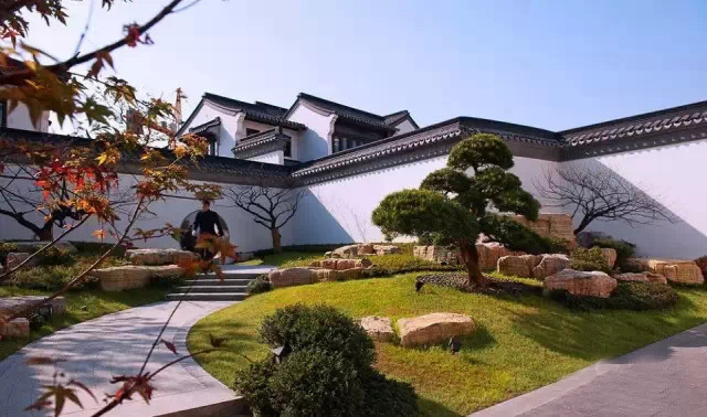 城市森林里的清新,城市山林