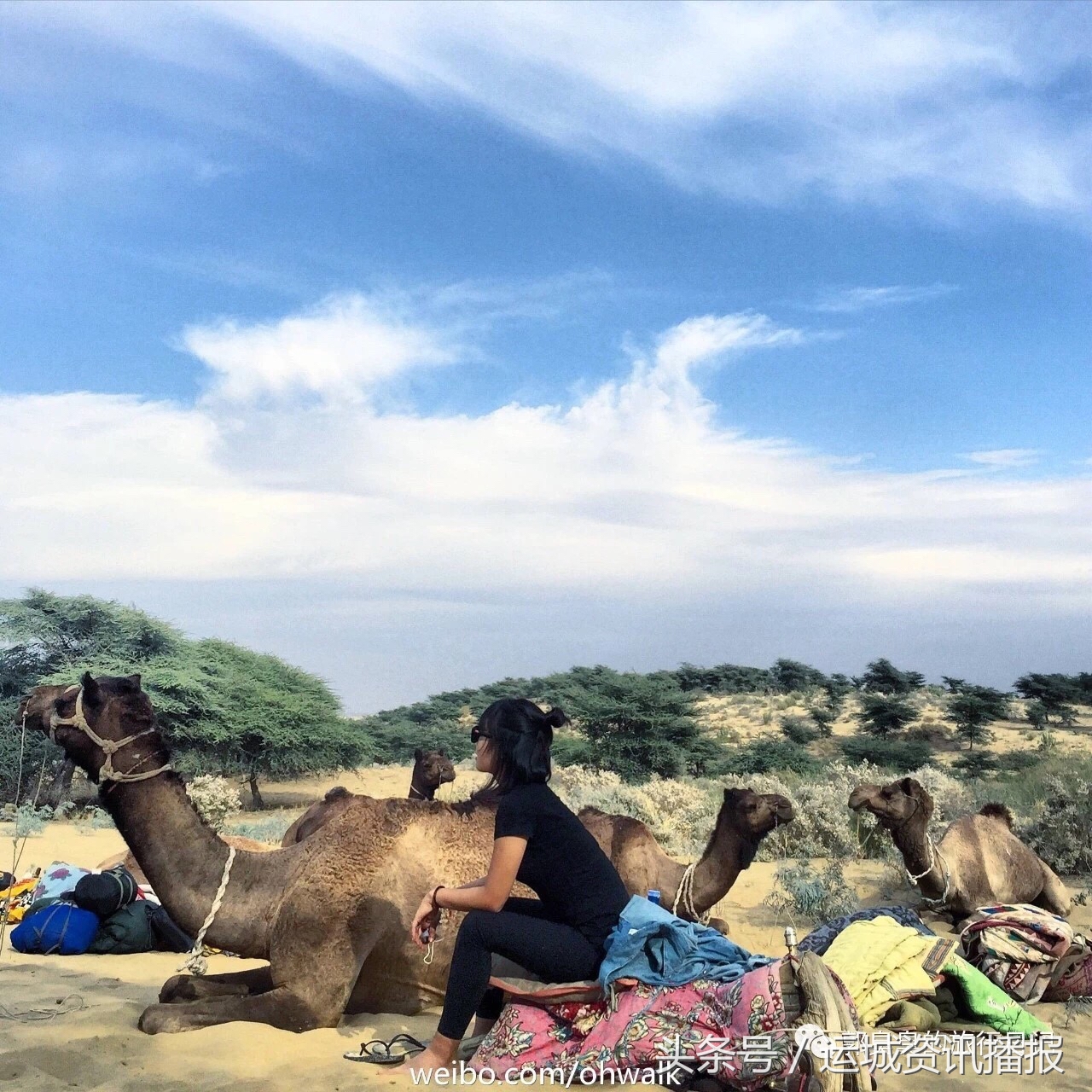 二十岁的运城平陆姑娘,山西运城女孩怎样