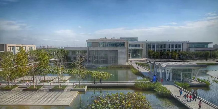 “土”“洋”结合:宁诺、西浦等中外合作大学为何受欢迎?