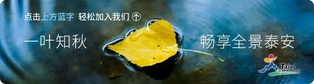 泰山温泉城有什么,泰山温泉城真实事件