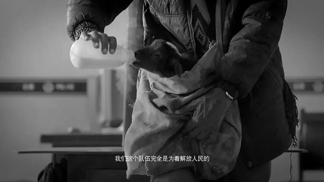 电影塔洛讽刺什么,塔洛最后的结局