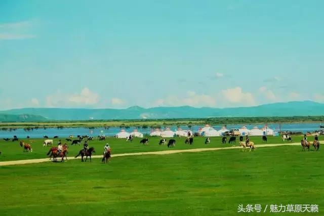 一座去了不想走的城市成都,一座去了还想去的城