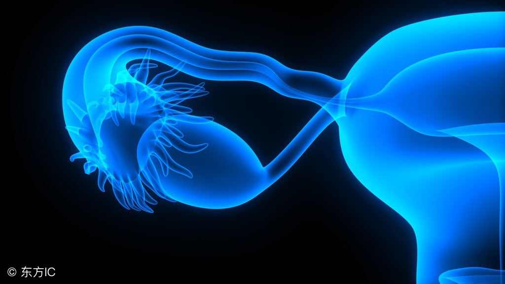 子宫内膜息肉诊刮多久可以怀孕,子宫内膜息肉术后多久可以怀孕