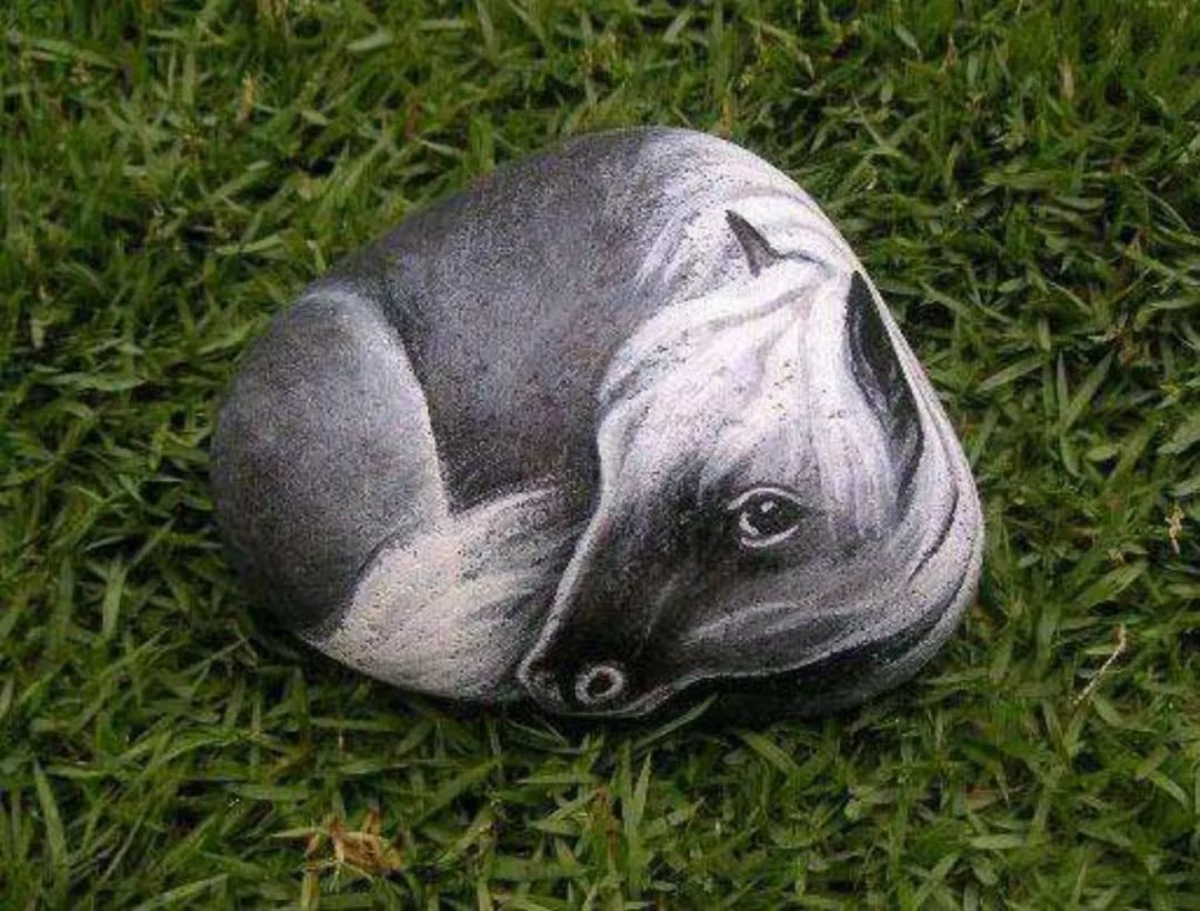 世界在听中国说,巴音郭楞经典故事