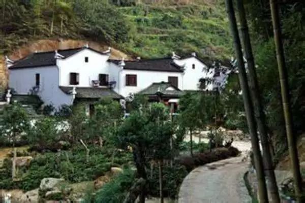 丽水遂昌市区,在丽水的遂昌