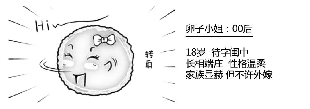 精子君追爱记|过五关斩六将,终抱得美人归