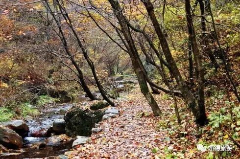 醉美九龙,九龙潭踏青一日游