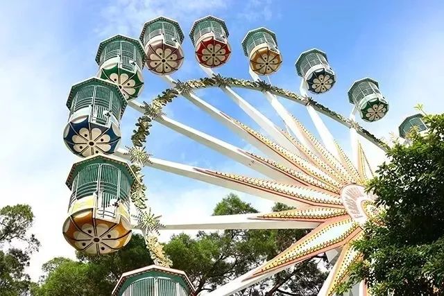 深圳失去了就会爱上的城市,深圳现状是什么