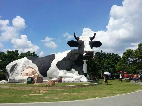 深圳失去了就会爱上的城市,深圳现状是什么