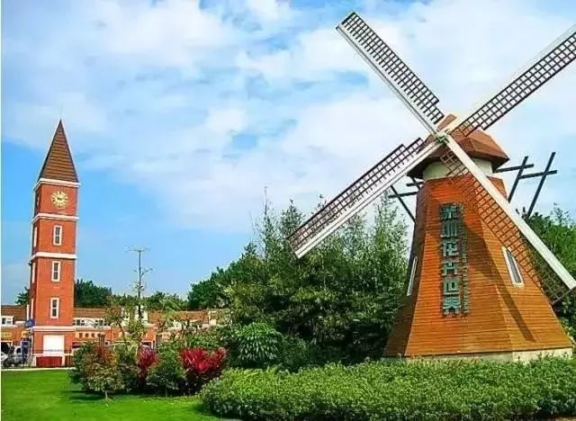 深圳失去了就会爱上的城市,深圳现状是什么