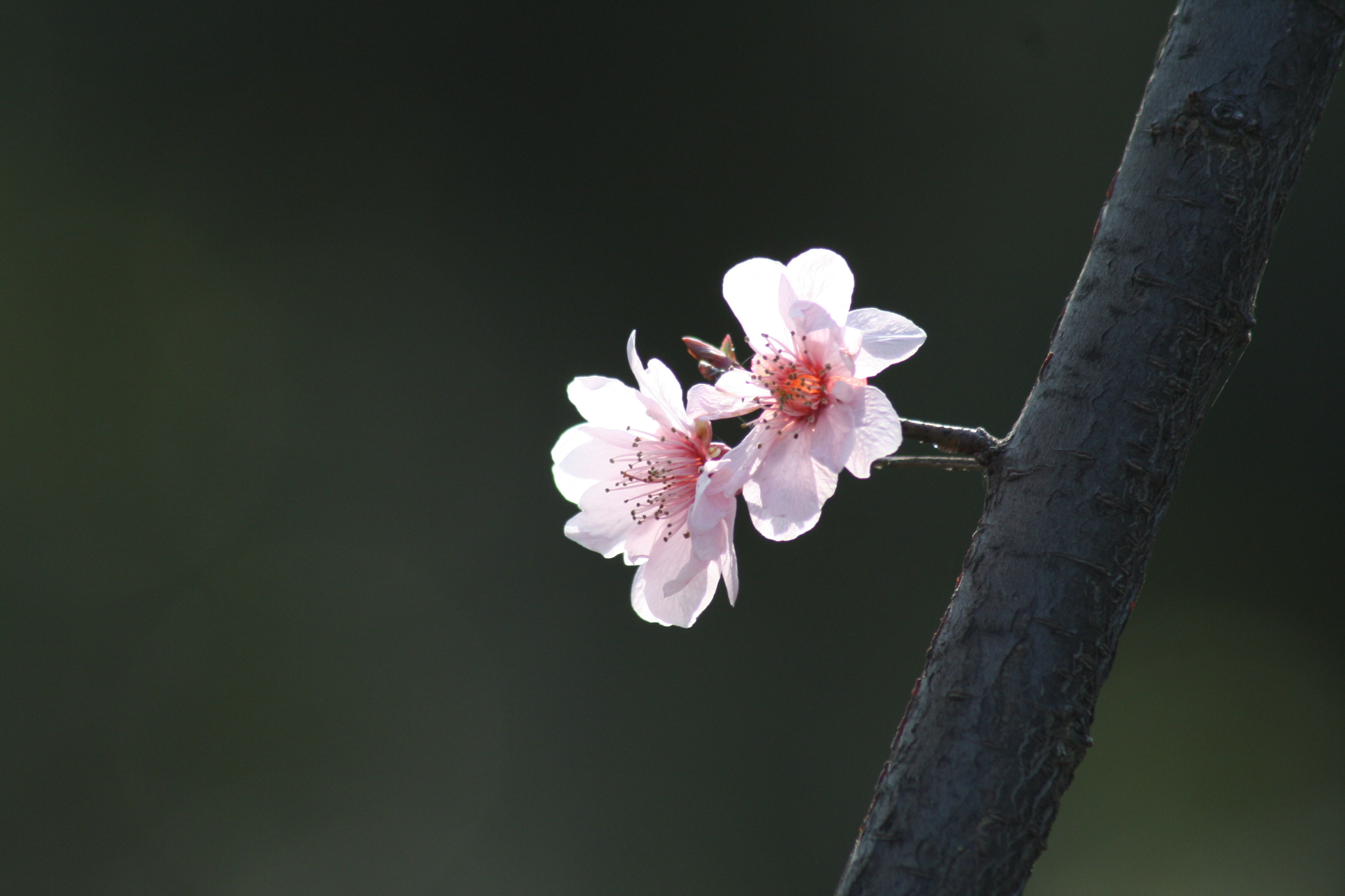 你帮别人干活说辛苦了你该怎么回,工作失误被同龄同事指责