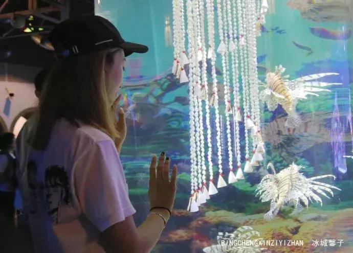 哈尔滨极地公园极地馆时间,哈尔滨极地公园和极地馆区别