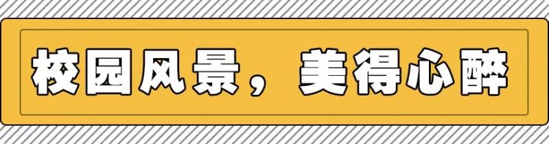 金陵中学河西分校和河西金陵中学,金陵中学河西分校是民办还是公办