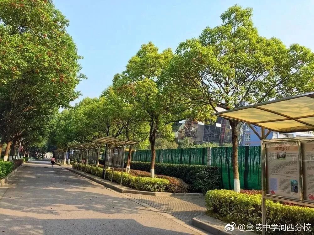 金陵中学河西分校和河西金陵中学,金陵中学河西分校是民办还是公办