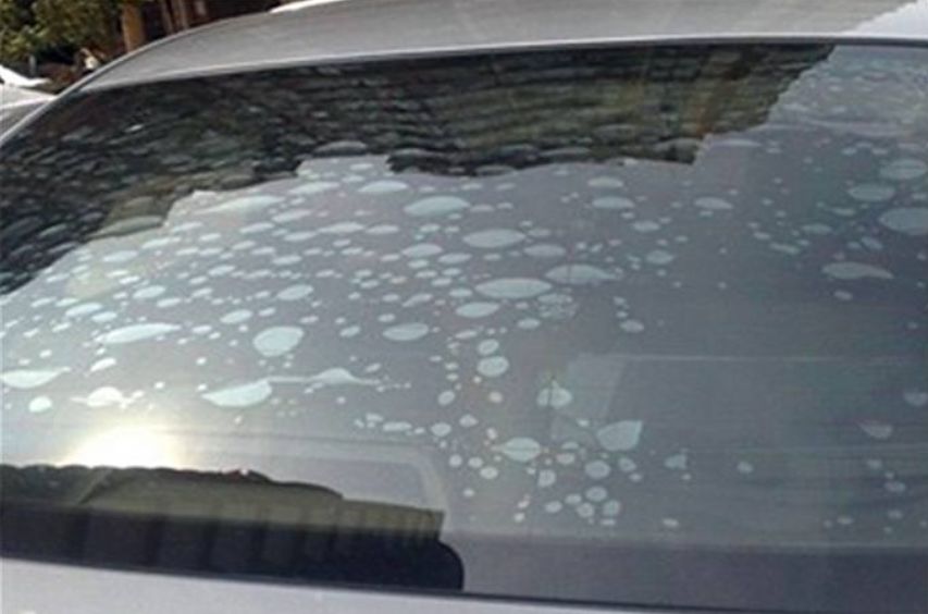 怎么选择合适的膜,老司机喜欢贴什么颜色的车膜