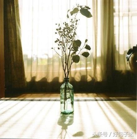 适合做心情签名的说说太走心了,适合发个性签名的句子