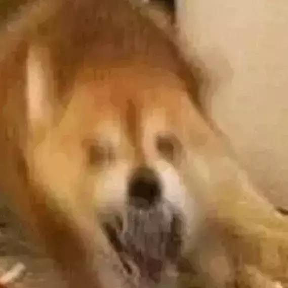 比较实用的十种化妆品,哪些好用又实用的化妆品又省钱