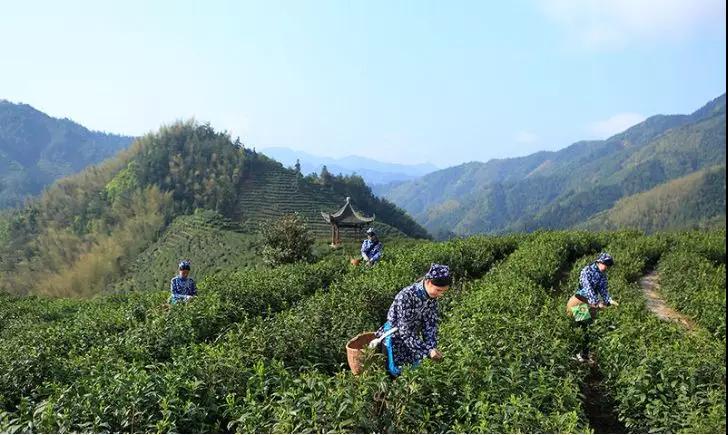 山东老字号博览会,中华老字号山东博览会门票