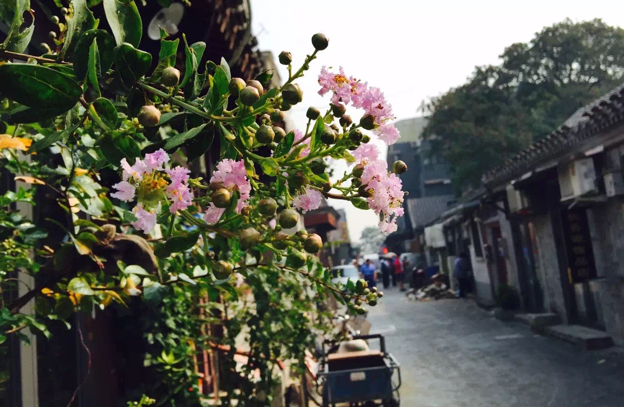 从100年前到现在,最文艺的北京胡同