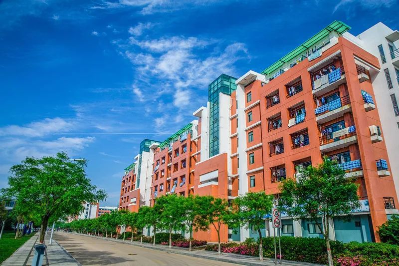 公寓入住指南模板,大海景房住宿推荐