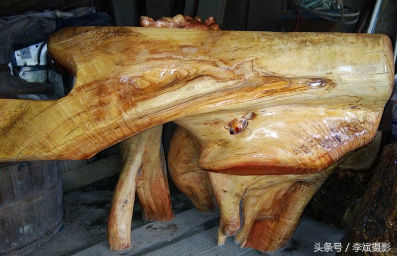 百年红香椿根雕,根雕香椿茶台图片