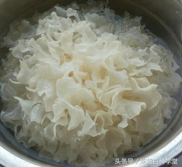 银耳糖水如何快速煮出胶质,糖水店老板给的配方
