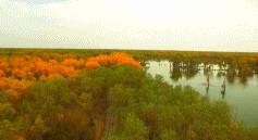 媲美川藏线的独库公路,能媲美独库公路的另一条小众公路