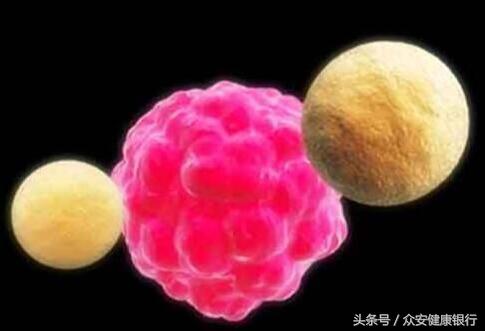 免疫抑制剂治疗hiv,中科众安基因疗法进展