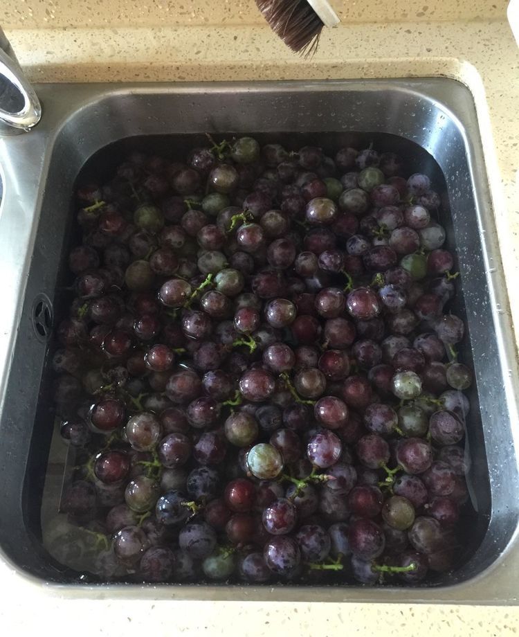 自酿葡萄酒的详细制作方法,葡萄酒正确做法自酿全过程