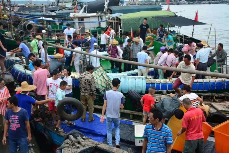 广东10大渔港 (广东各大渔港)