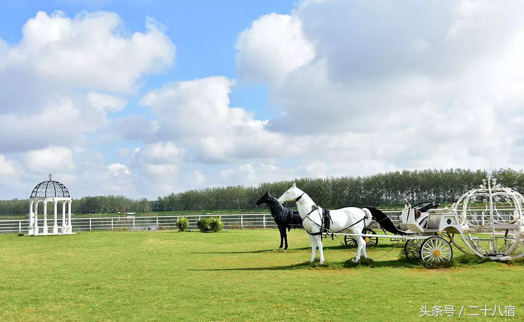 陈柏霖纳米比亚自驾游视频,陈柏霖在沙漠开车