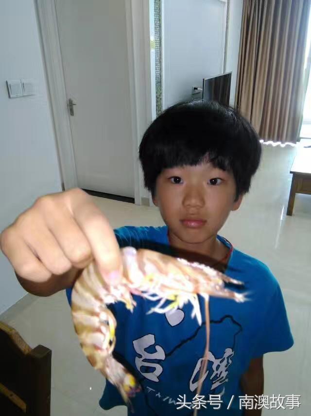 国庆去南澳岛旅游攻略,南澳岛赶海出海游玩攻略