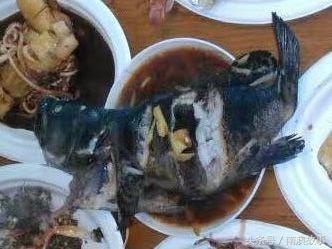 国庆去南澳岛旅游攻略,南澳岛赶海出海游玩攻略